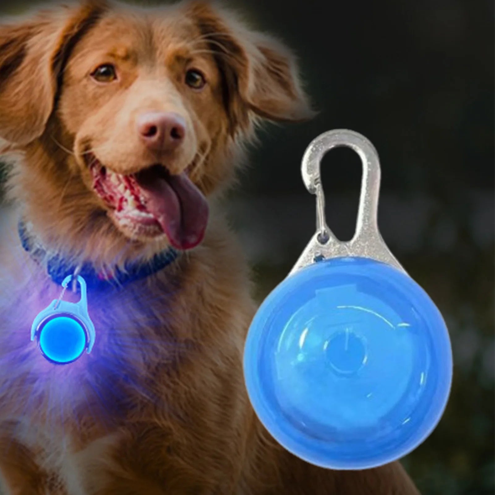 LED Glow Dog Collar Pendant
